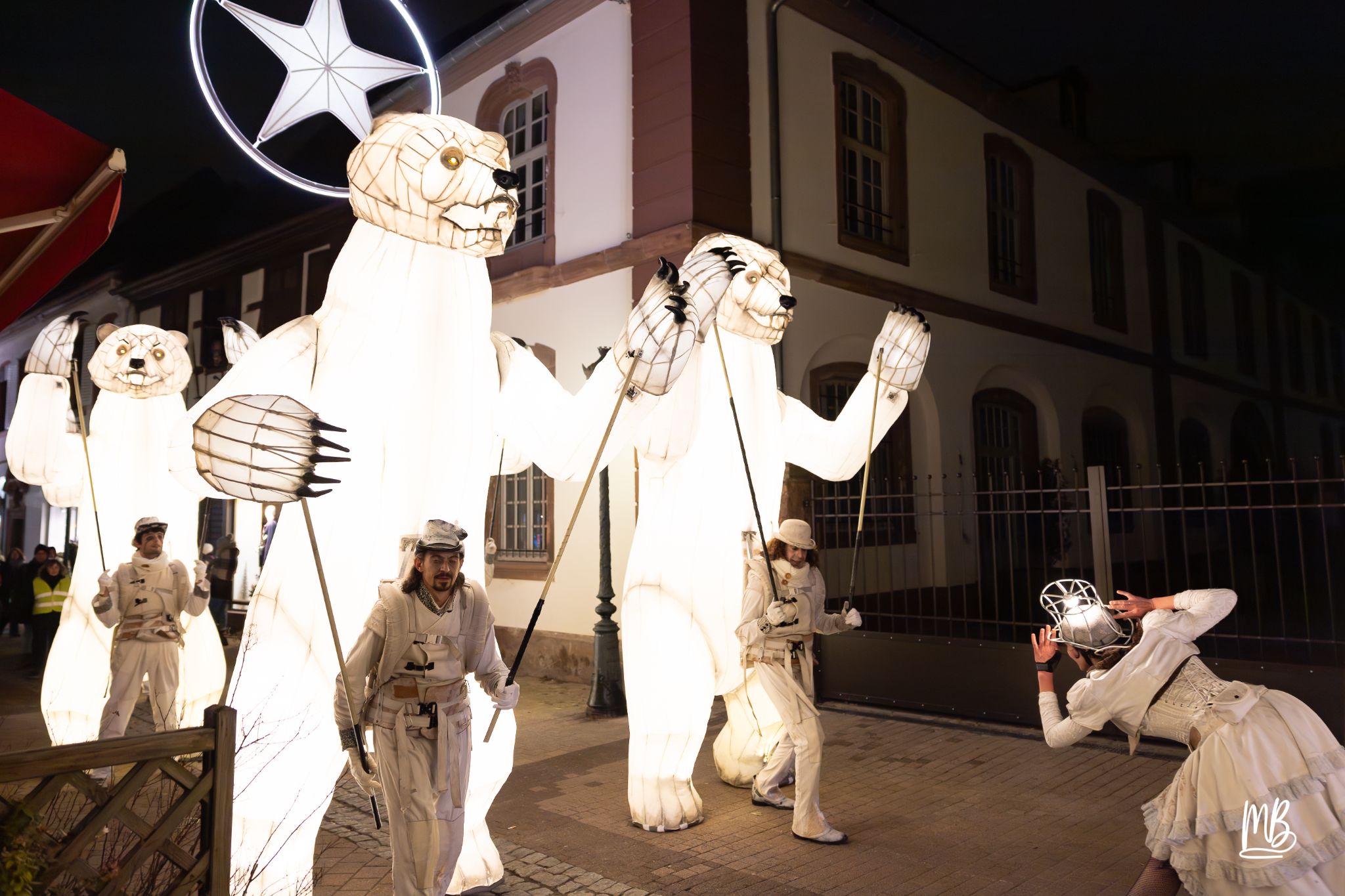 MB2024 CIE REMUE MENAGE(Gueule d'ours) (46 sur 107)